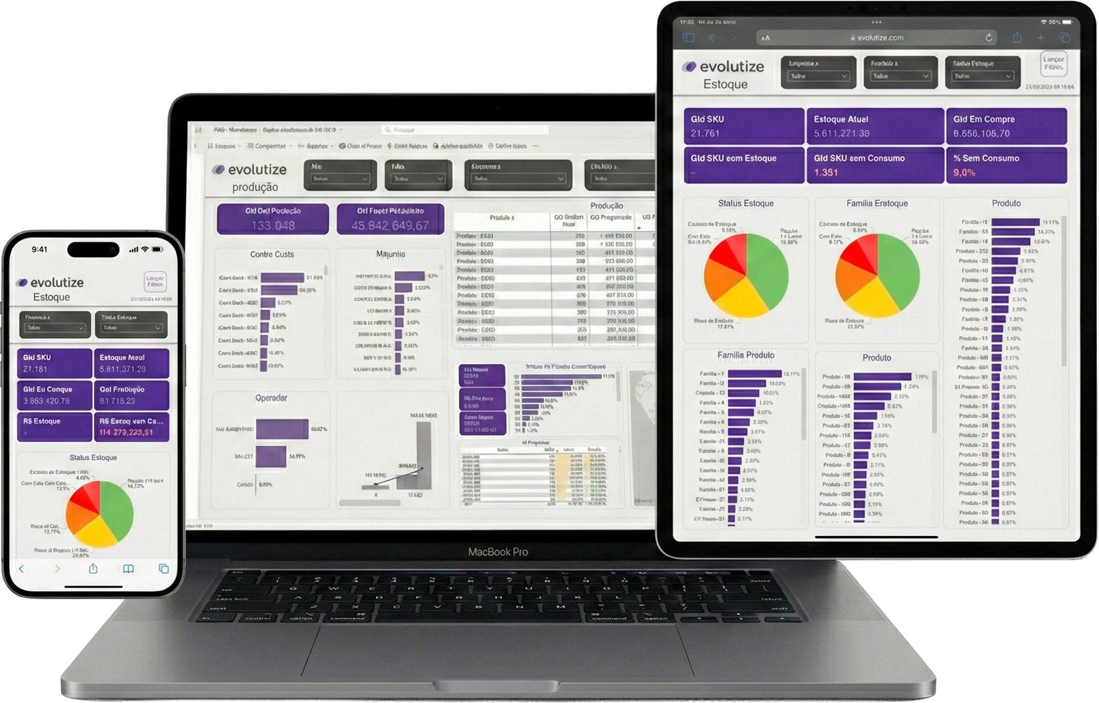 Empresa de ERP/CRM Software - Cases